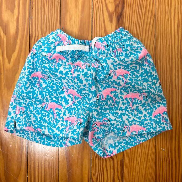 Chubbies Kids Toddler Boy Blue Flamingo Swim Trunks 2at - Picture 1 of 3